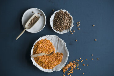 Red and brown lentils in bowls - ASF06299