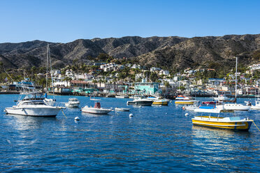 USA, California, Channel islands, Santa Catalina Island, Bay of Avalon, - RUNF01113