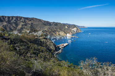 USA, Kalifornien, Kanalinseln, Santa Catalina Island, Avalon - RUNF01114