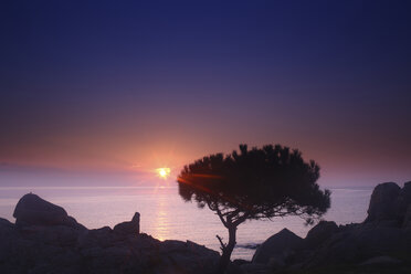 Spain, Cala S'Alguer, Costa Brava, sunset at the coast - DSGF01806