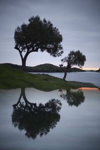 Spanien, Cadaques, Costa Brava, Wasserspiegelung der Bäume in der Morgendämmerung, lizenzfreies Stockfoto