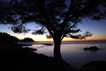 Spain, Cala S'Alguer, Costa Brava, sunset at the coast - DSGF01823