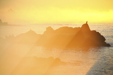 Spanien, Cala S'Alguer, Costa Brava, Sonnenuntergang an der Küste - DSGF01825