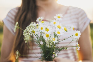 Frau hält einen Strauß gepflückter weißer Wildblumen, Nahaufnahme - JSCF00141