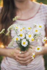 Woman holding bunch of picked white wildflowers, close-up - JSCF00142