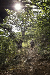 Italien, Sizilien, Castelbuono, Parco delle Madonie, Seniorin beim Wandern - MAMF00391