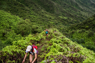 Wanderer beim Spaziergang im Regenwald, Moanalua Valley Trail, Oahu, Hawaii - ISF20500