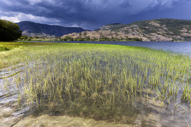 Spain, Zamora Province, Sanabria Lake Natural Park - DSGF01840