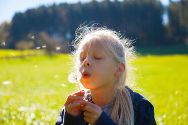 Girl blowing seeds from dandelion clock in field, backlit - CUF48670