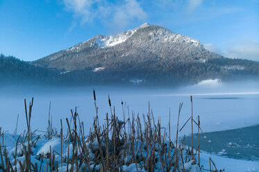 Winterlandschaft mit Nebel über dem Spitzingsee, Bayern, Deutschland - CUF48671