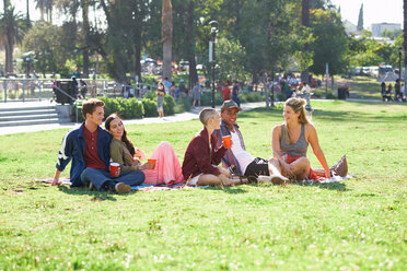 Fünf junge erwachsene Freunde sitzen im Park, Los Angeles, Kalifornien, USA - CUF48678
