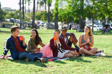 Fünf junge erwachsene Freunde sitzen im Park, Los Angeles, Kalifornien, USA - CUF48679