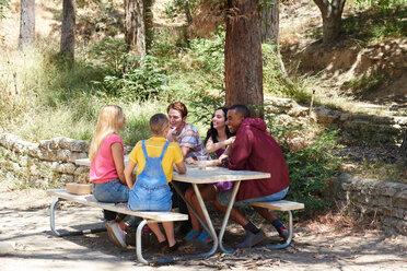 Fünf junge erwachsene Freunde unterhalten sich am Picknicktisch im Park, Los Angeles, Kalifornien, USA - CUF48696