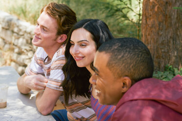 Drei junge erwachsene Freunde unterhalten sich am Picknicktisch im Park, Los Angeles, Kalifornien, USA - CUF48697