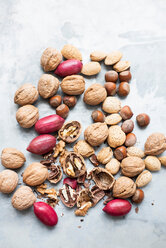 Walnuts and almonds in shell, hazelnuts and red peanuts - CUF48743