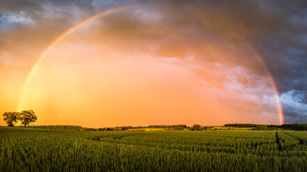 Regenbogen über Feldlandschaft, Nussbaum, Deutschland - CUF48769