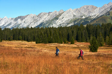 Wanderer auf grasbewachsenem Feld, Berge im Hintergrund, Manigod, Rhone-Alpes, Frankreich - CUF48798