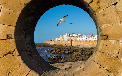 Möwen durch das Hafenloch gesehen, Essaouira, Marokko, lizenzfreies Stockfoto