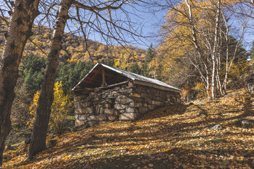 Georgia, Greater Caucasus, Stepantsminda, small forest church - KEBF01118