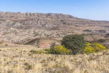 Georgia, Kakheti, steppe landscape - KEBF01136