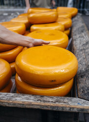 Loaves of Gouda cheese at market - PPXF00148