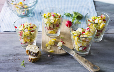 Glasses of cheese salad with red radishes and herbs - PPXF00151