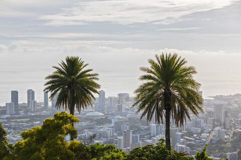 USA, Hawaii, Oahu, Puu Ualakaa State Park, Blick vom Tantalus Lookout auf Honolulu, Palmen, lizenzfreies Stockfoto