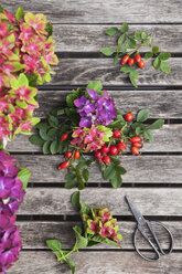 Hydrangeas, rosehips and scissors on garden table - GWF05872