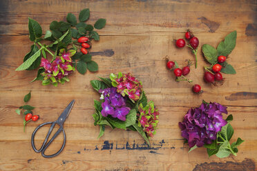 Hydrangeas, rosehips and scissors on wood - GWF05873