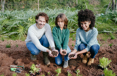 Familie pflanzt Salatsetzlinge im Gemüsegarten, zeigt Hände voller Erde - GEMF02699