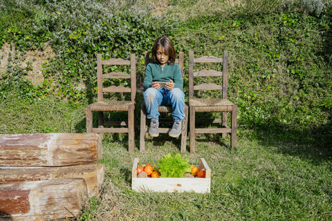 Junge sitzt im Garten mit Gemüsekiste und spielt Spiele auf seinem Smartphone, lizenzfreies Stockfoto