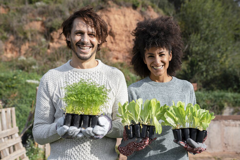 Glückliches Paar mit Salatsetzlingen in einem Gemüsegarten - GEMF02727