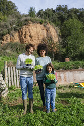 Happy family holding lettuce seedlings in a vegetable garden - GEMF02728