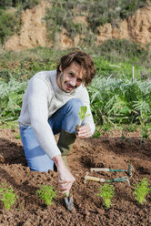 Mann pflanzt Salatsetzlinge im Gemüsegarten - GEMF02767
