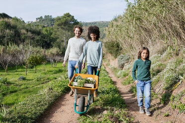 Familie geht auf einem Feldweg, Schubkarre schiebend, voll mit frischem Gemüse - GEMF02779