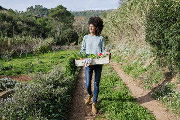 Woman walking in the field, carrying a vegetable crate - GEMF02787