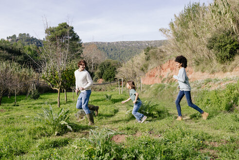 Glückliche Familie beim Spaziergang auf dem Land, in einer Reihe - GEMF02813