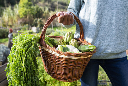 Woman standing in the field, carrying a vegetable crate - GEMF02819