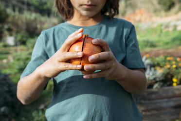 Junge hält halbierten Granatapfel in einem Obstgarten - GEMF02830
