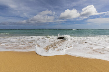 USA, Hawaii, Oahu, Ka'O'lo Point, Strand - FOF10352