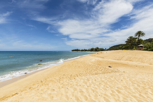 USA, Hawaii, Oahu, Laniakea Beach - FOF10358