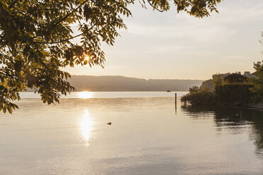 Switzerland, Canton Zurich, Richterswil, Lake Zurich at sunrise - GWF05877