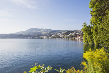 Switzerland, Canton Zurich, Lake Zurich, Richterswil - GWF05879