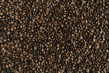 Coffee beans - AFVF02381