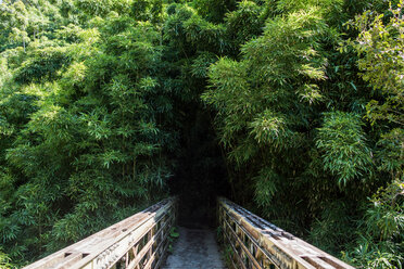 Wooden bridge to bamboo forest, Waipipi Trail, Maui, Hawaii - ISF20672