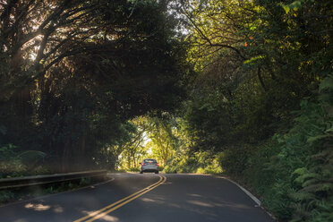 Road to Hana, Maui, Hawaii - ISF20707