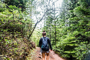 Hiker on Sleeping Giant Trail, Kauai, Hawaii - ISF20716