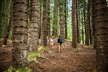 Wanderer auf dem Sleeping Giant Trail, Kauai, Hawaii - ISF20718