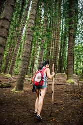 Wanderer auf dem Sleeping Giant Trail, Kauai, Hawaii - ISF20719