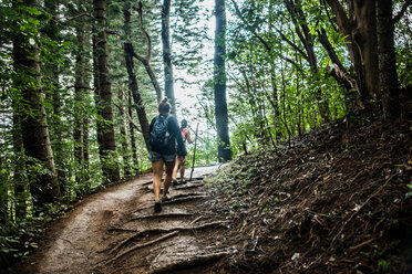 Hikers on Sleeping Giant Trail, Kauai, Hawaii - ISF20720